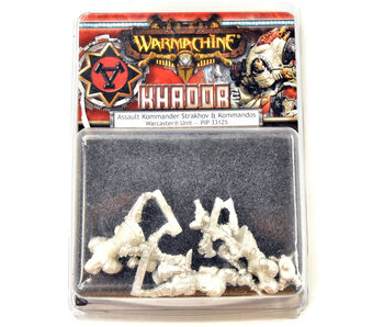 WARMACHINE Assault Kommander Strakhov And Kommandos NIB METAL khador PIP33125