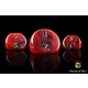 Specialty D3 Dice - x5 / Red
