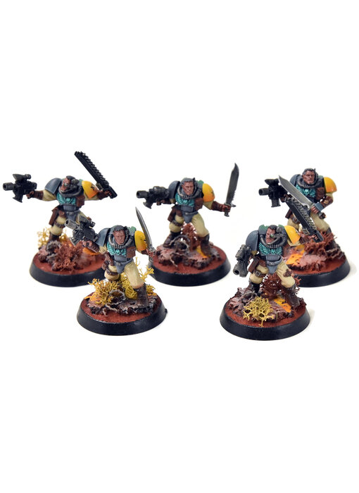 SPACE MARINES 5 Scouts #4 PRO PAINTED Warhammer 40K