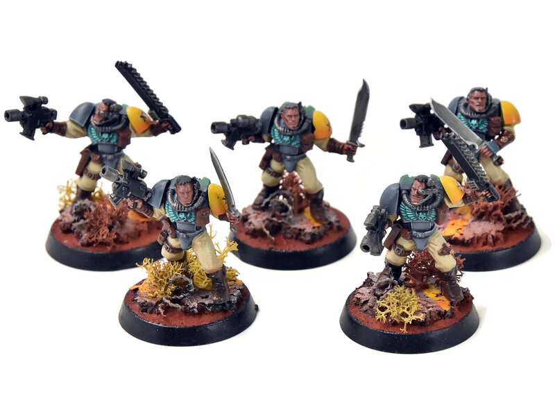 Games Workshop SPACE MARINES 5 Scouts #4 PRO PAINTED Warhammer 40K