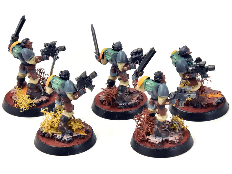 Games Workshop SPACE MARINES 5 Scouts #4 PRO PAINTED Warhammer 40K