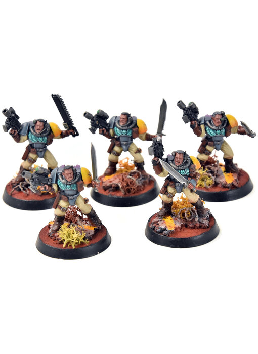 SPACE MARINES 5 Scouts #3 PRO PAINTED Warhammer 40K