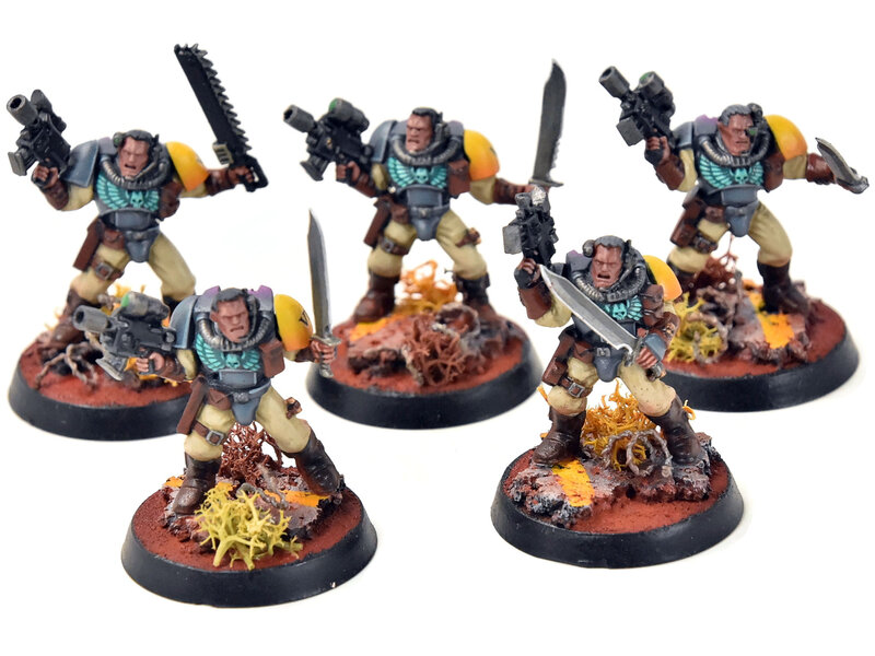 Games Workshop SPACE MARINES 5 Scouts #3 PRO PAINTED Warhammer 40K