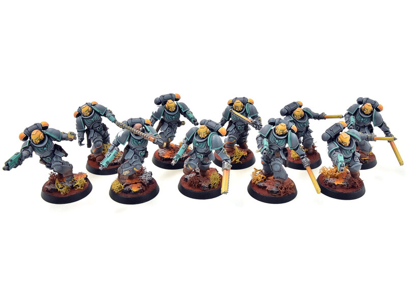 Games Workshop SPACE MARINES 10 Assault Intercessors Squad #1 PRO PAINTED Warhammer 40K