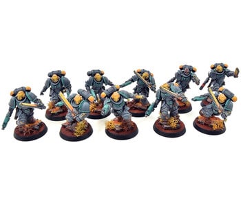 SPACE MARINES 10 Assault Intercessors Squad #2 PRO PAINTED Warhammer 40K