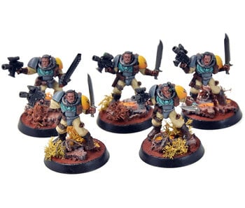 SPACE MARINES 5 Scouts #1 PRO PAINTED Warhammer 40K