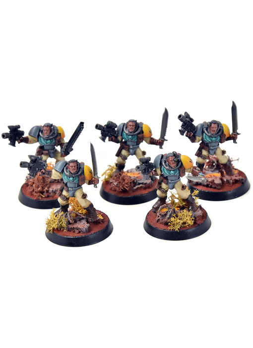 SPACE MARINES 5 Scouts #1 PRO PAINTED Warhammer 40K