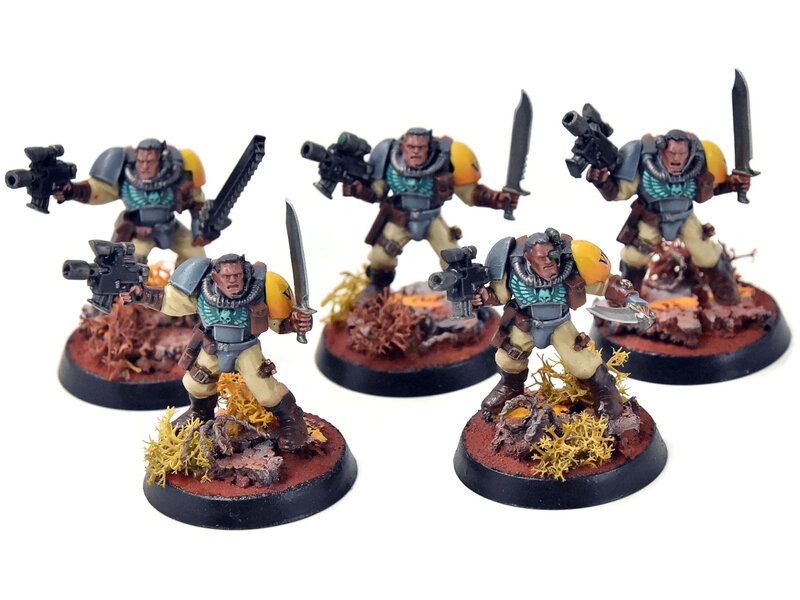 Games Workshop SPACE MARINES 5 Scouts #1 PRO PAINTED Warhammer 40K