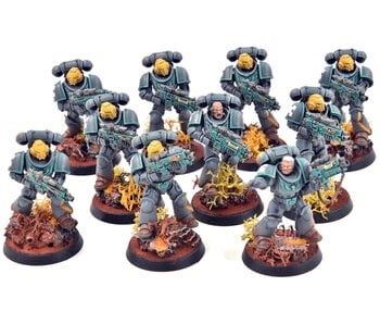 SPACE MARINES 10 Intercessors #1 PRO PAINTED Warhammer 40K
