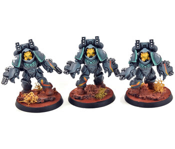 SPACE MARINES 3 Aggressors #3 PRO PAINTED Warhammer 40K