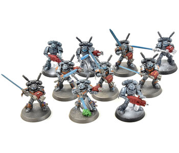 Warhammer 40k: Grey Knights Paladin Squad – Pair O' Dice