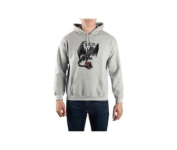 Dungeons And Dragons -  XL Adult Grey Hoodie