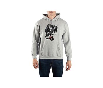 Dungeons And Dragons -  M Adult Grey Hoodie