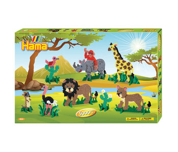 Safari-Gift Box