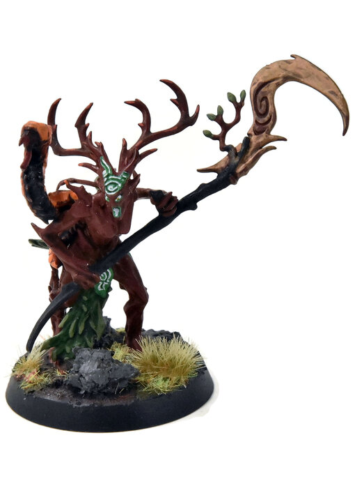 SYLVANETH Branchwych #1 Sigmar WELL PAINTED