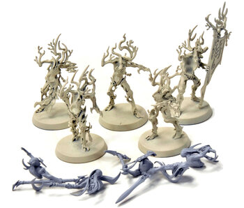 SYLVANETH 5 Tree Revenants #1 Sigmar