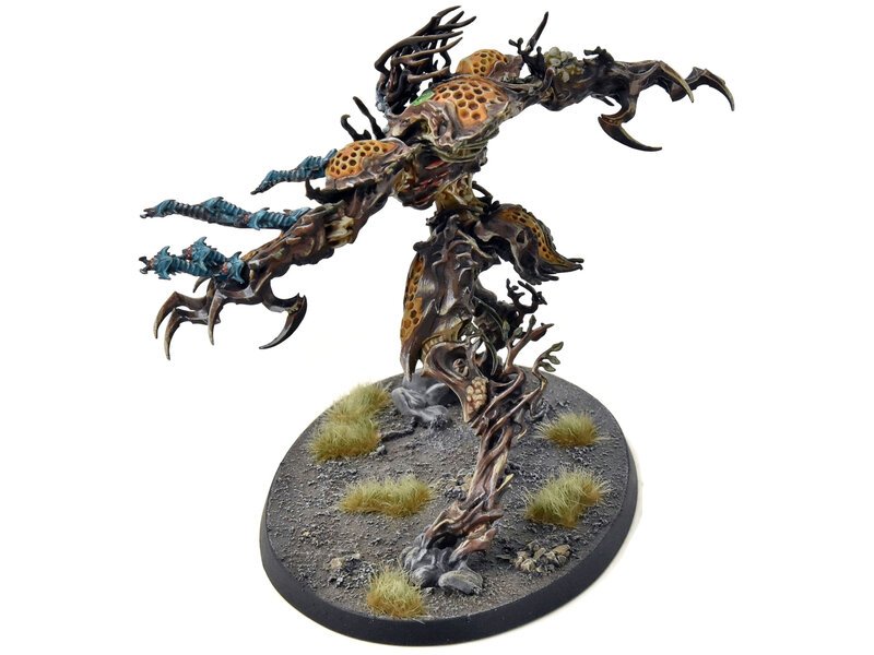 Games Workshop SYLVANETH Drycha Hamadreth #1 PRO PAINTED Sigmar