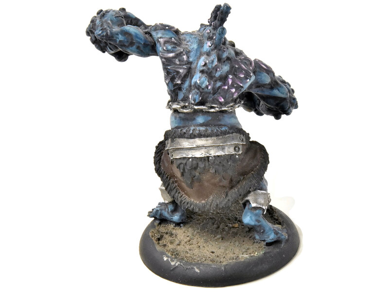 HORDES Storm Troll #1 WELL PAINTED TROLLBLOODS
