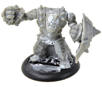 HORDES Troll Bouncer #3 TROLLBLOODS