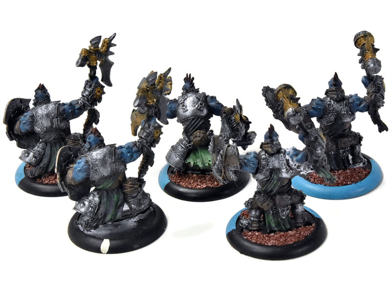 HORDES 5 Trollkin Warders #1 TROLLBLOODS