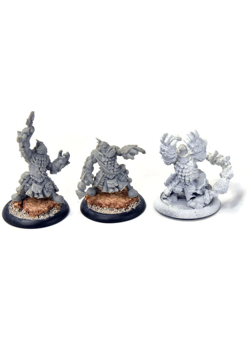 HORDES 3 Trollkin Runeshaper #2 TROLLBLOODS