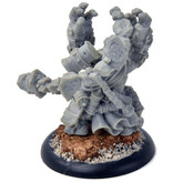HORDES Trollkin Runeshaper #6 TROLLBLOODS