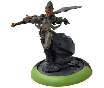 WARMACHINE Warwitch Siren #2 METAL CRYX