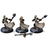 WARMACHINE Stormsmith Stormcallers #1 METAL CYGNAR WELL PAINTED