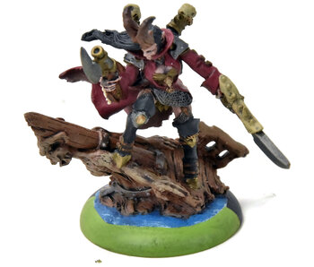 WARMACHINE Pirate Queen Share #1 METAL CRYX