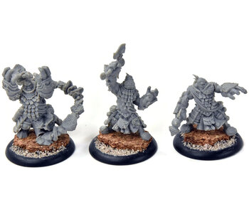 HORDES 3 Trollkin Runeshaper #4 TROLLBLOODS