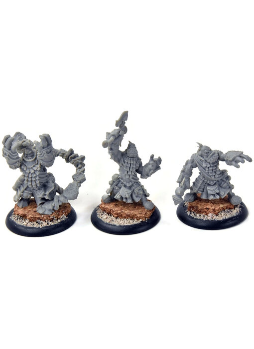 HORDES 3 Trollkin Runeshaper #4 TROLLBLOODS