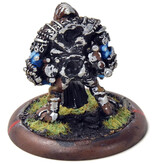HORDES Stone Scribe Elder #1 METAL TROLLBLOODS