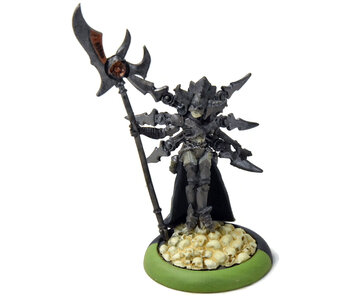 WARMACHINE Wraith with Deneghra #1 METAL CRYX