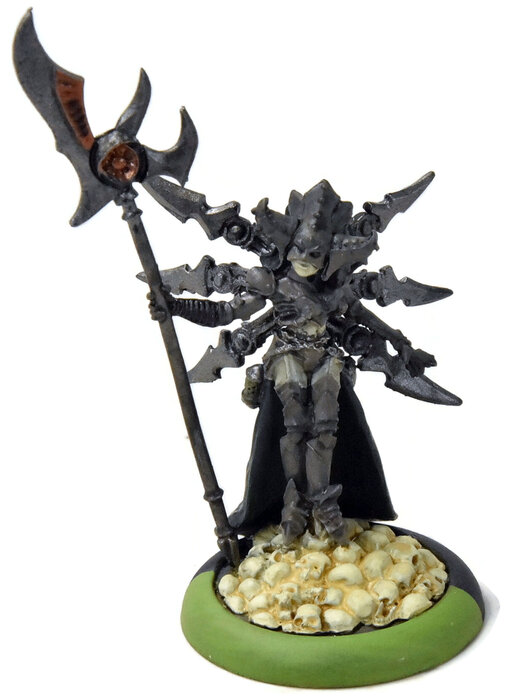 WARMACHINE Wraith with Deneghra #1 METAL CRYX
