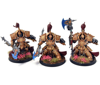 ADEPTUS CUSTODES 3 Allarus Custodians Converted #1 WELL PAINTED Warhammer 40K