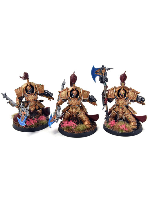 ADEPTUS CUSTODES 3 Allarus Custodians Converted #1 WELL PAINTED Warhammer 40K
