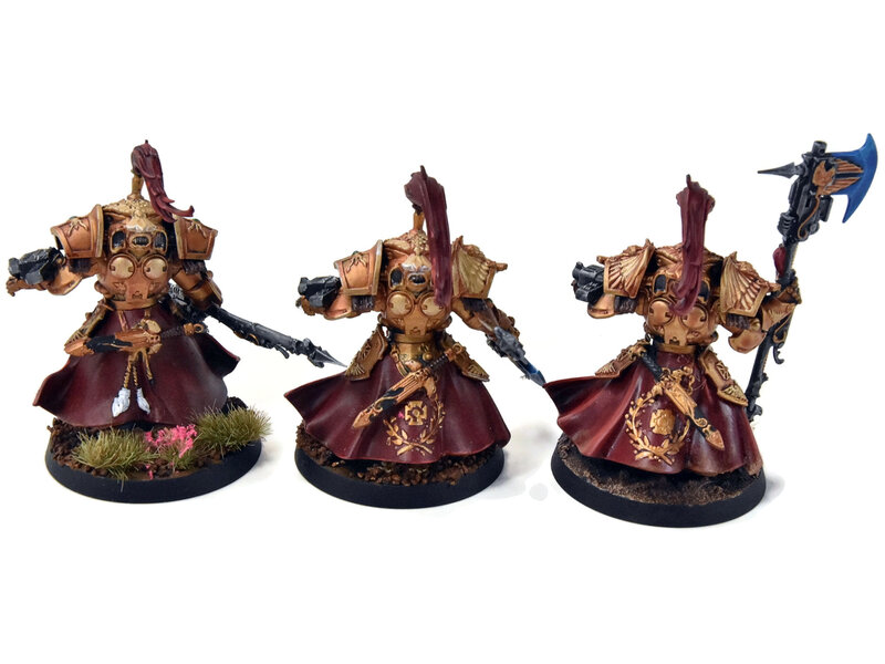 Games Workshop ADEPTUS CUSTODES 3 Allarus Custodians Converted #1 WELL PAINTED Warhammer 40K