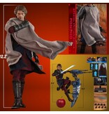Sideshow Anakin Skywalker and Stap (special Edition) Sixth Scale Figure Set by Hot Toys