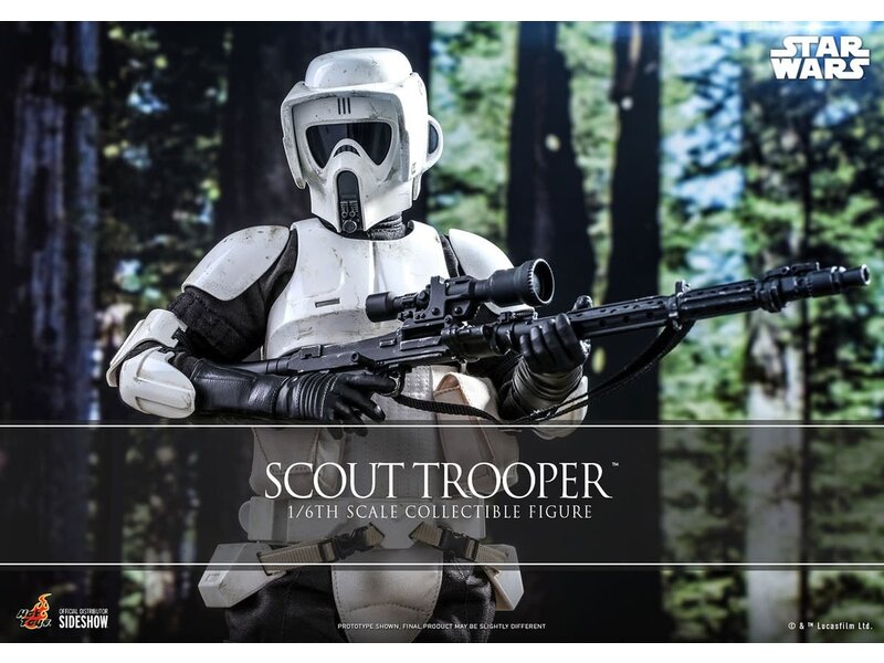 Sideshow Scout Trooper™ Sixth Scale Figure by Hot Toys