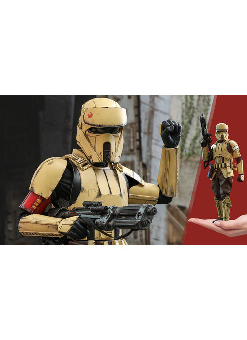 Shoretrooper™ Sixth Scale Figure - Hot Toys