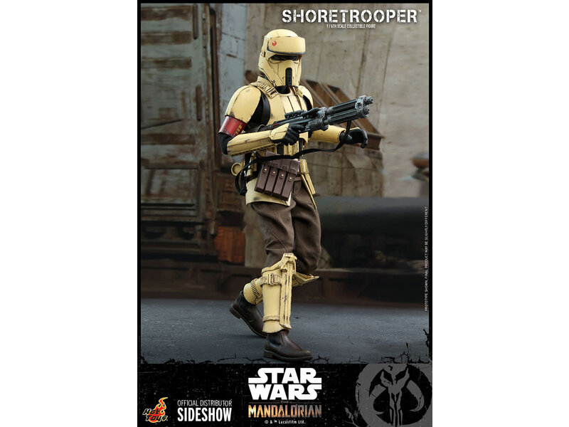 Sideshow Shoretrooper™ Sixth Scale Figure - Hot Toys