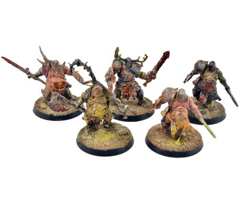 MAGGOTKIN OF NURGLE 5 Putrid Blightkings #2 WELL PAINTED Sigmar