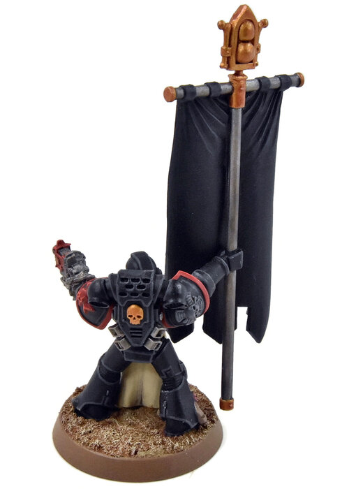 SPACE MARINES Ancient With Banner #1 Black Templars PRO PAINTED 40K