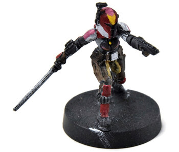 STAR WARS LEGION Sabine Wren #1 PRO PAINTED rebels