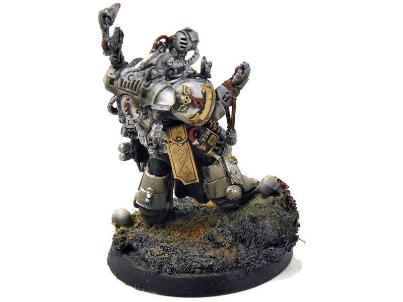 SPACE MARINES Primaris Apothecary 1 PRO PAINTED Warhammer 40K iron