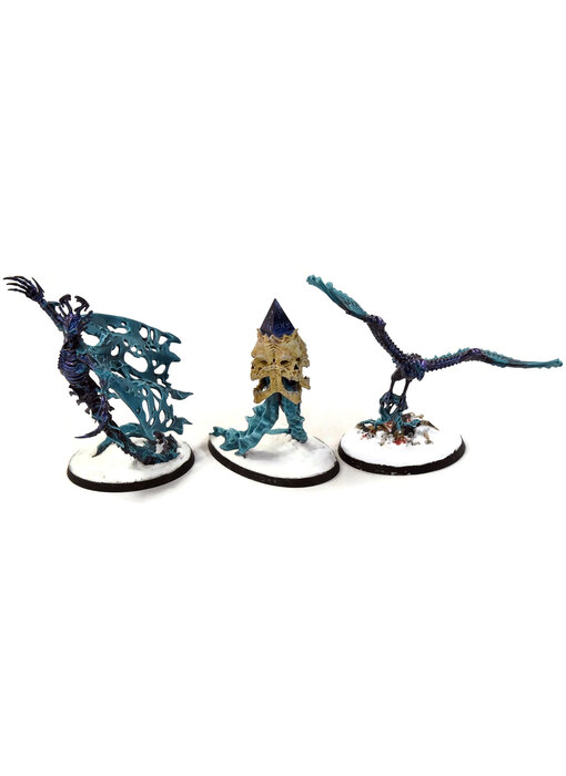 OSSIARCH BONEREAPERS Endless Spells #1 WELL PAINTED SIGMAR