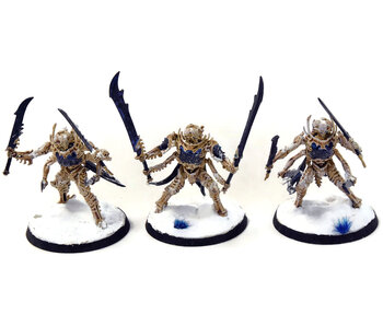 OSSIARCH BONEREAPERS 3 Necropolis Stalkers #1 WELL PAINTED SIGMAR