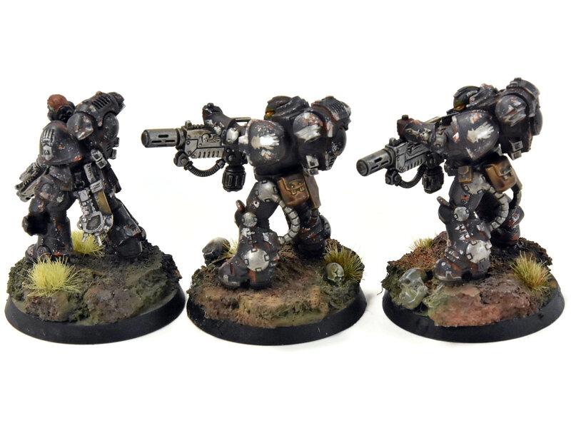 Games Workshop SPACE MARINES 3 Primaris Eradicators #3 PRO PAINTED Warhammer 40K iron hands