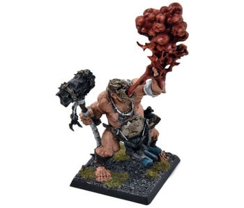 OGOR MAWTRIBES Firebelly #1 WELL PAINTED Sigmar Ogre Kingdoms