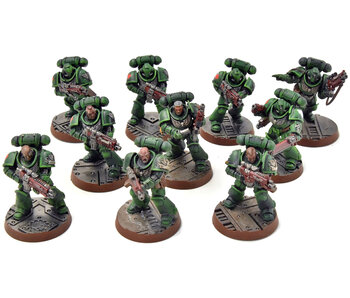 DARK ANGELS 10 Intercessors #1 WELL PAINTED Warhammer 40K